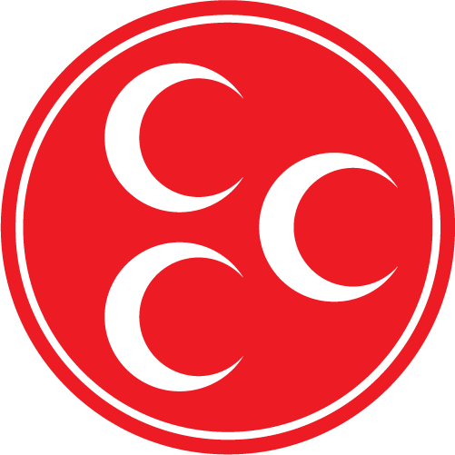 Fethi BİLGİN
